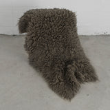 Night Whisperer Colonnade - Falcon