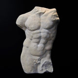 Andrea Male Torso - Skulptur