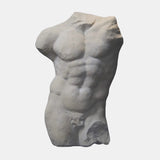 Andrea Male Torso - Skulptur