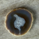 Coaster - Agate