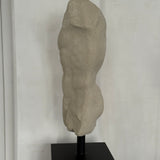 Andrea Male Torso - Skulptur