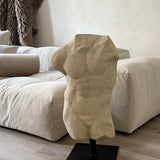Andrea Male Torso - Skulptur