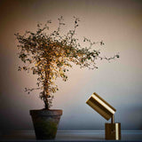 Joey Spot Bordlampe - Flere varianter