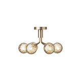 Apiales 6 Ceiling - Taklampe - Flere varianter