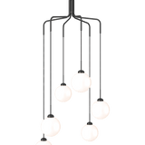 Apiales Cluster 6 - Taklampe - Flere varianter