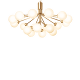 Apiales 18 - Taklampe - Flere varianter