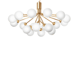 Apiales 18 - Taklampe - Flere varianter