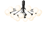 Apiales 18 - Taklampe - Flere varianter