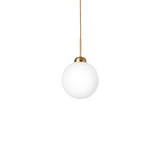 Apiales 1 Large - Taklampe - Flere varianter