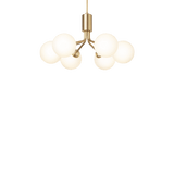 Apiales 6 - Taklampe - Flere varianter