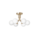 Apiales 6 Ceiling - Taklampe - Flere varianter