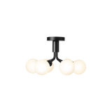Apiales 6 Ceiling - Taklampe - Flere varianter