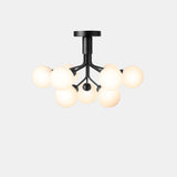 Apiales 9 Ceiling - Taklampe - Flere varianter