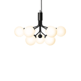 Apiales 9 - Taklampe - Flere varianter
