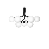 Apiales 9 - Taklampe - Flere varianter