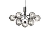 Apiales 9 - Taklampe - Flere varianter