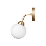 Apiales - Vegglampe
