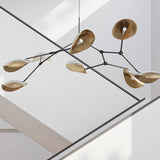 Stingray Taklampe - Flere varianter