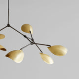 Stingray Taklampe - Flere varianter