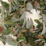 Kunstig Krans Eucalyptus Storbladet Burgunder - 60cm