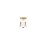 Asteea - Taklampe