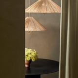 1972 Taklampe - Flere varianter