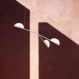 Almendra S2 Y Taklampe