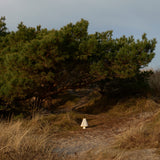 Hornbæk Portabel Lampe - Flere Varianter