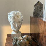 Grecian Byste - Skulptur