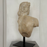 Alexandre le Grand Byste - Skulptur