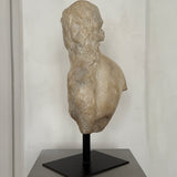 Alexandre le Grand Byste - Skulptur