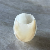 Onyx Telysholder