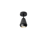 Anoli Spot Surface  - Flere varianter