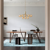 Apiales 18 - Taklampe - Flere varianter