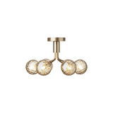 Apiales 6  Ceiling - Taklampe - Flere varianter