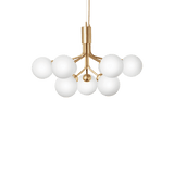 Apiales 9 - Taklampe - Flere varianter