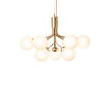 Apiales 9 - Taklampe - Flere varianter