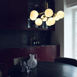 Apiales 9 - Taklampe - Flere varianter