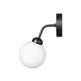 Apiales - Vegglampe