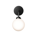 Apiales - Vegglampe