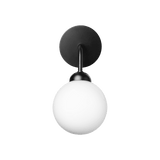 Apiales - Vegglampe