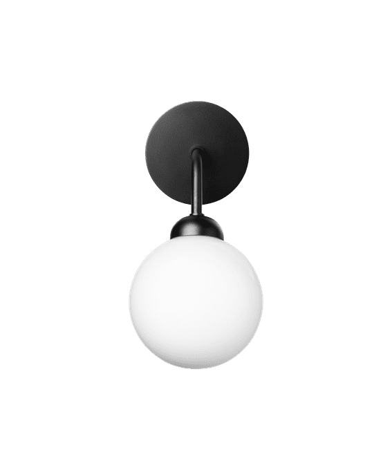 Apiales - Vegglampe