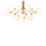 Apiales 18 - Taklampe - Flere varianter