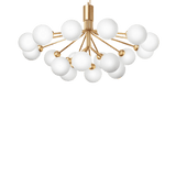 Apiales 18 - Taklampe - Flere varianter