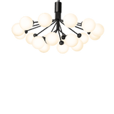 Apiales 18 - Taklampe - Flere varianter