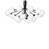 Apiales 18 - Taklampe - Flere varianter