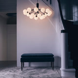 Apiales 18 - Taklampe - Flere varianter