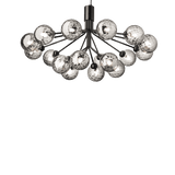 Apiales 18 - Taklampe - Flere varianter