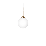Apiales 1 Large - Taklampe - Flere varianter