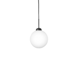 Apiales 1 Large - Taklampe - Flere varianter